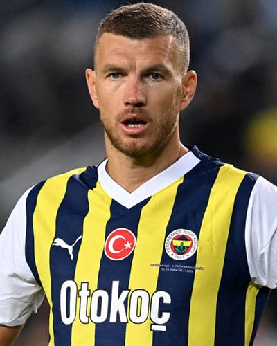 Edin Dzeko 