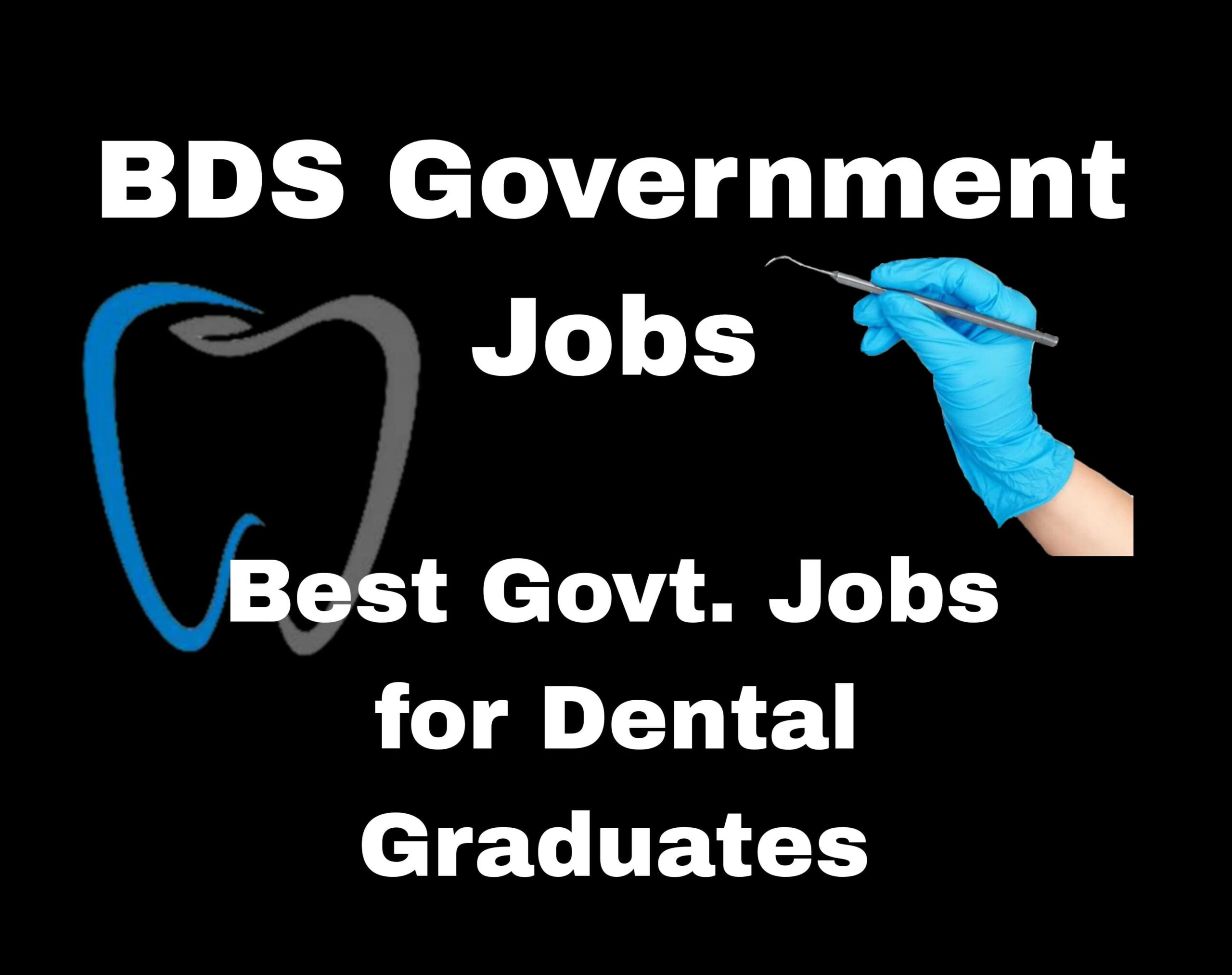 BDS Government Jobs